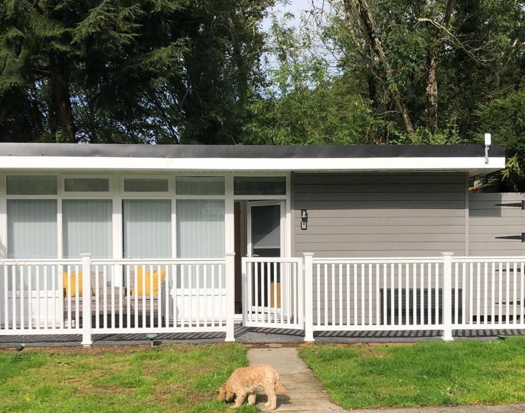 Woodlands Luxury Escape - Lodge 81 New Quay  Zewnętrze zdjęcie